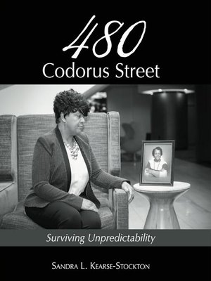 cover image of 480 Codorus Street